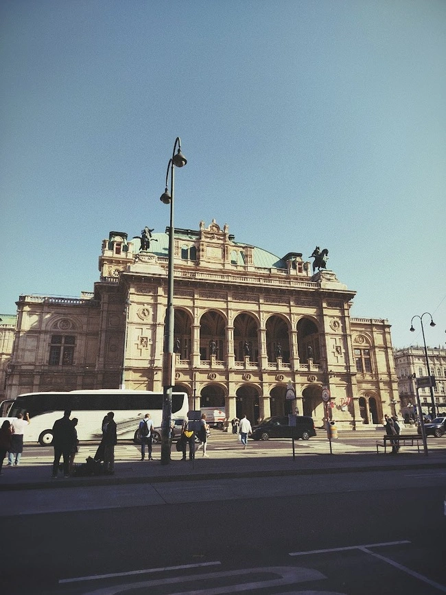 Why Vienna